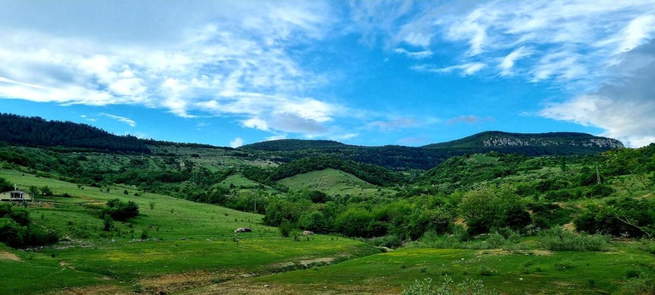 Villa Eskici Staro Myasto Buitenkant foto