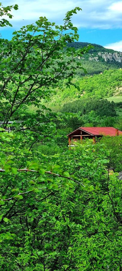 Villa Eskici Staro Myasto Buitenkant foto